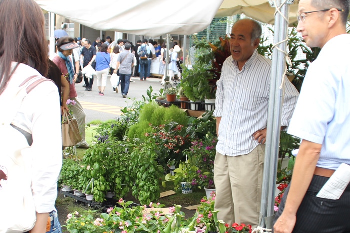 青野花園さんの売り場