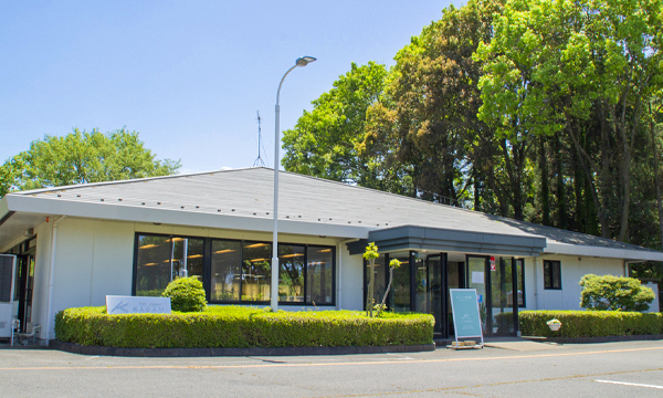 本社ショップ